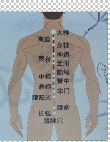 养生仪器定制